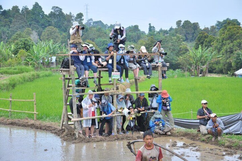 Explore West Sumatra with Private Transportation