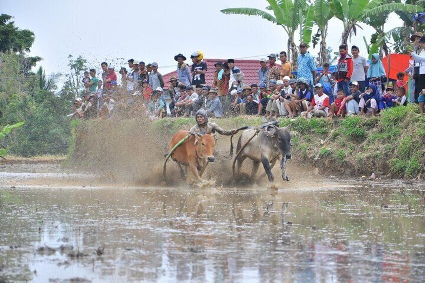 Explore West Sumatra with Private Transportation