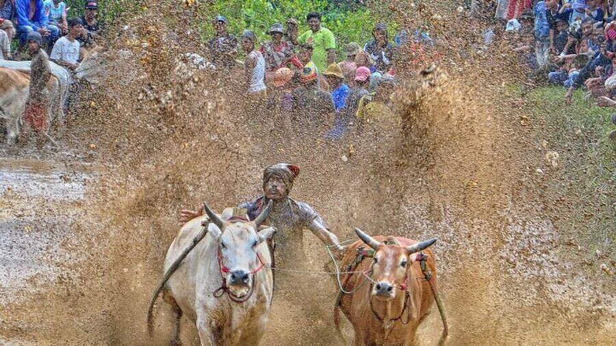 Explore West Sumatra with Private Transportation