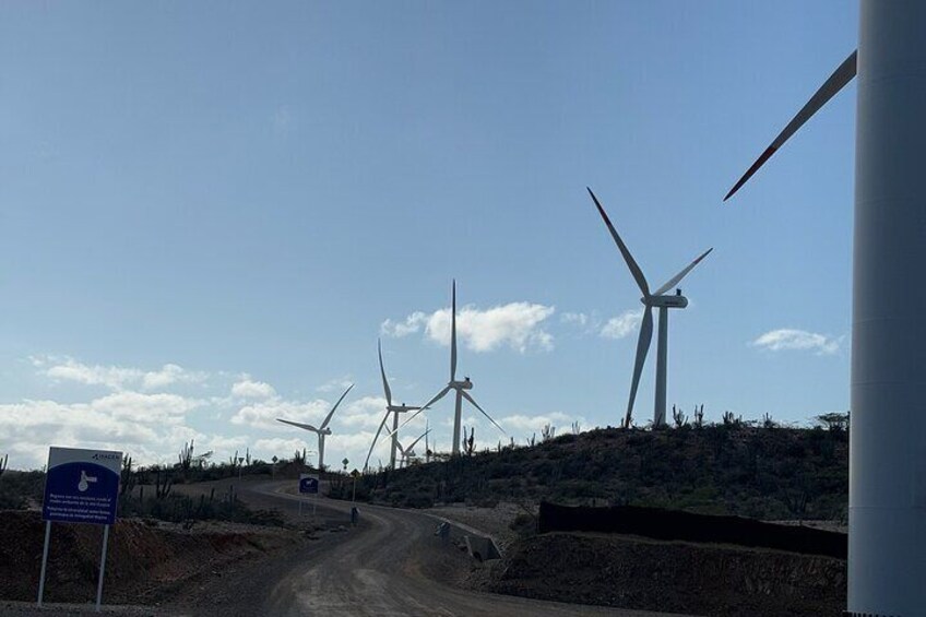 Wind farm