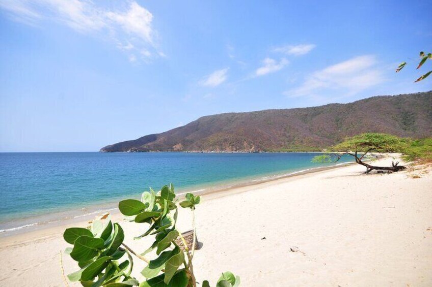Full Day Tour to Bahia Concha Beach in Tayrona Park