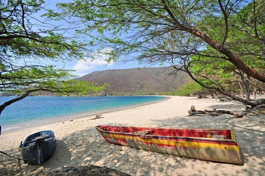 Full Day Tour to Bahia Concha Beach in Tayrona Park