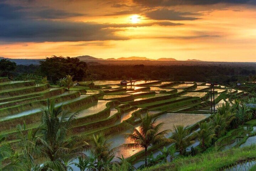 Private Northern Bali and Scenic Waterfalls Full Day Tour