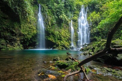 Private Sekumpul Waterfall and Northern Bali Full Day Tour