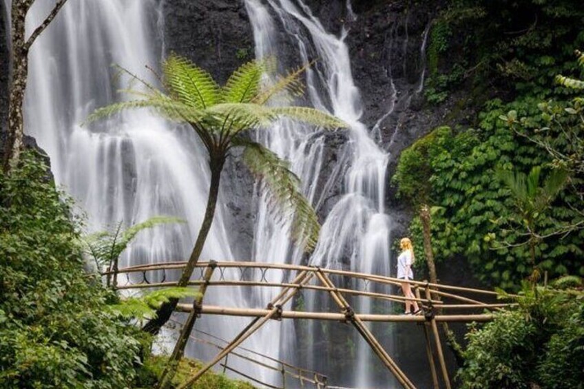 Private Northern Bali and Scenic Waterfalls Full Day Tour