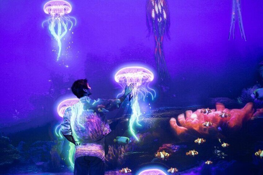 Dive into the serene and playful underwater world, where aquatic life comes alive through immersive, interactive experiences.