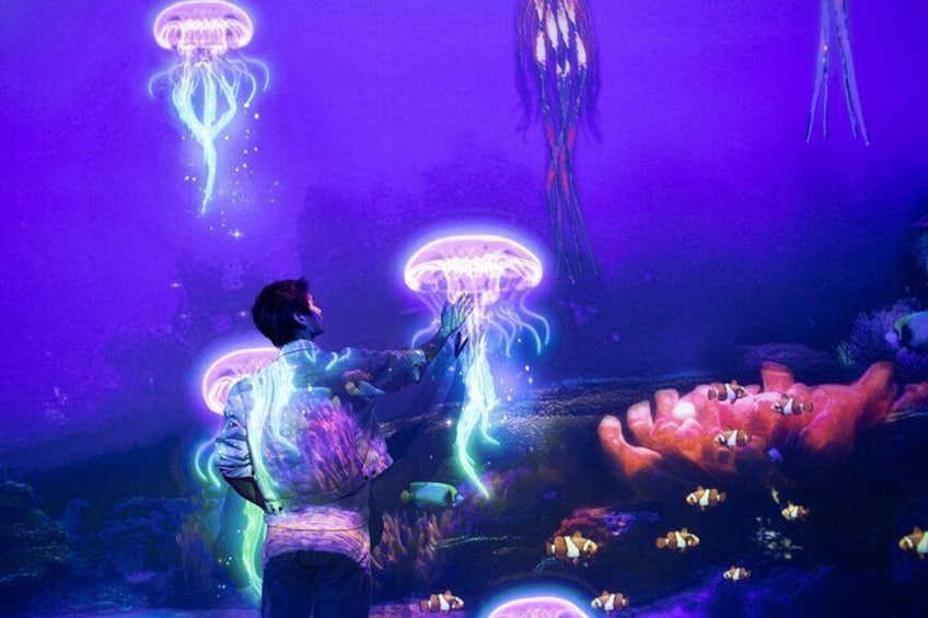Dive into the serene and playful underwater world, where aquatic life comes alive through immersive, interactive experiences.