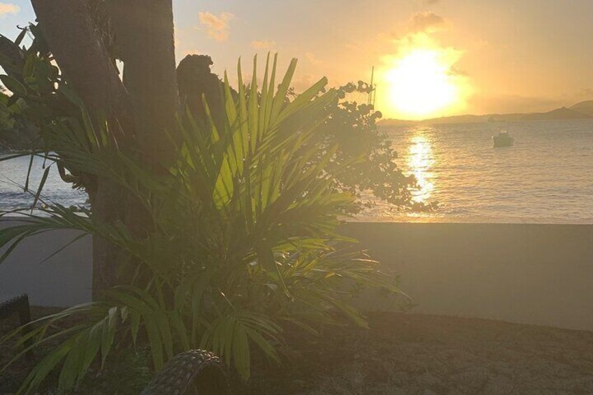 Sunset View with Appetizers, Art, Stories, Local Wildlife & Happy Hour with Painkillers and Mamajuana 
