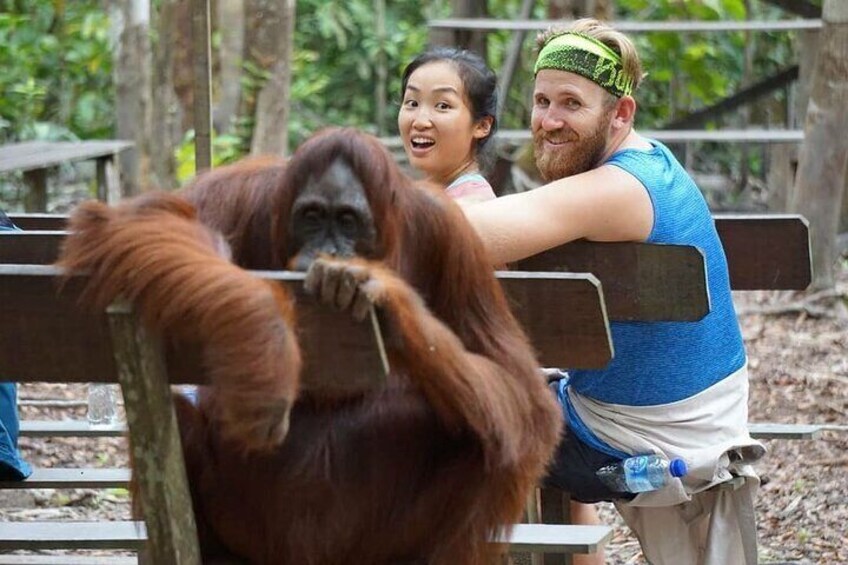 3 Days 2 Nights Wildlife Tanjung Puting 