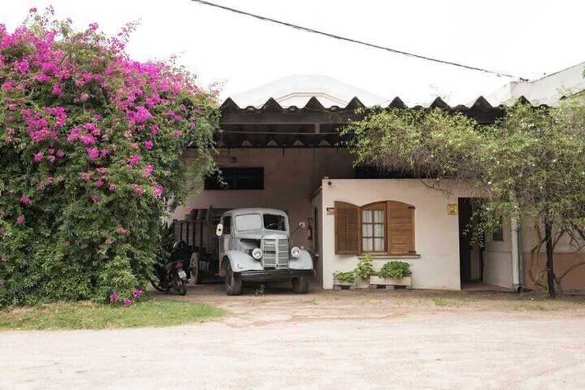 Jesuit Ruins & Carmelo Wineries: Private History and Wine Tour
