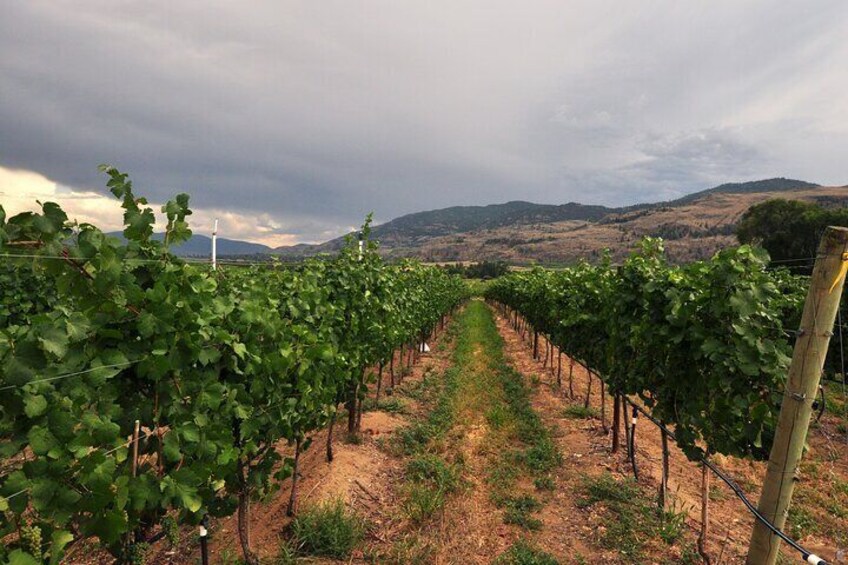 Jesuit Ruins & Carmelo Wineries: Private History and Wine Tour