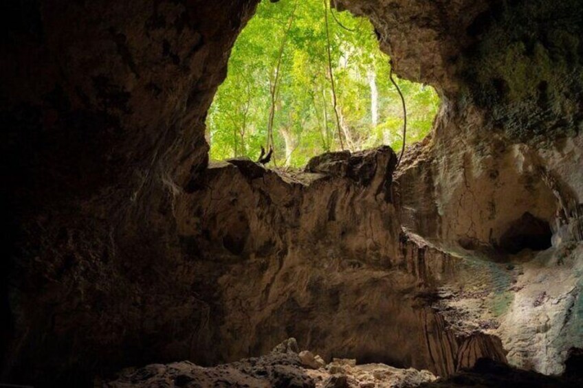 Punta Cana 3 in 1 Day Trip Haitises, Yanigua and Montana Redonda