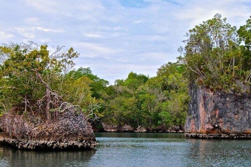 Punta Cana 3 in 1 Day Trip Haitises, Yanigua and Montana Redonda