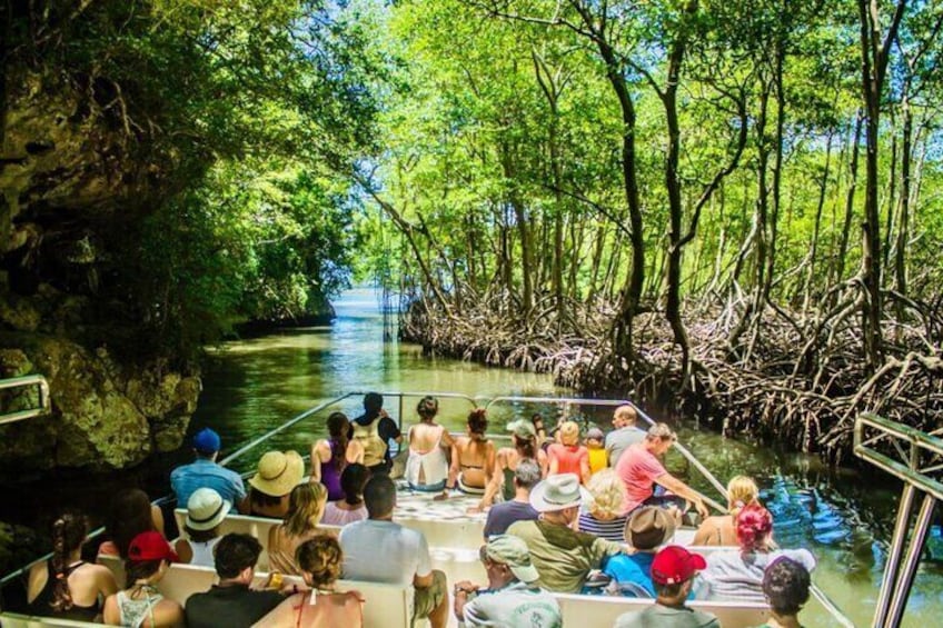 Punta Cana 3 in 1 Day Trip Haitises, Yanigua and Montana Redonda