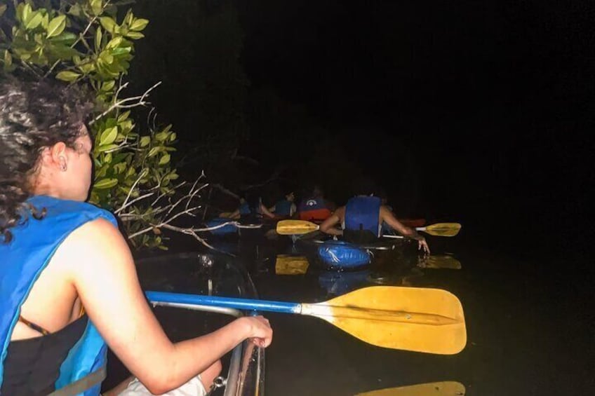 Bio Bay Tour Vieques – Full Clear Canoes Experience