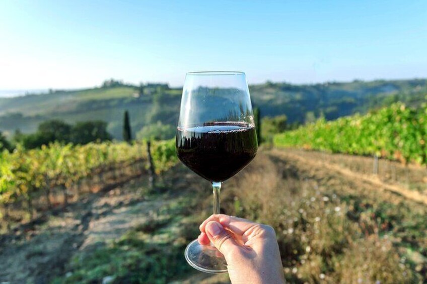 Casablanca Valley Wine Escape Private Vineyard Tour and Lunch