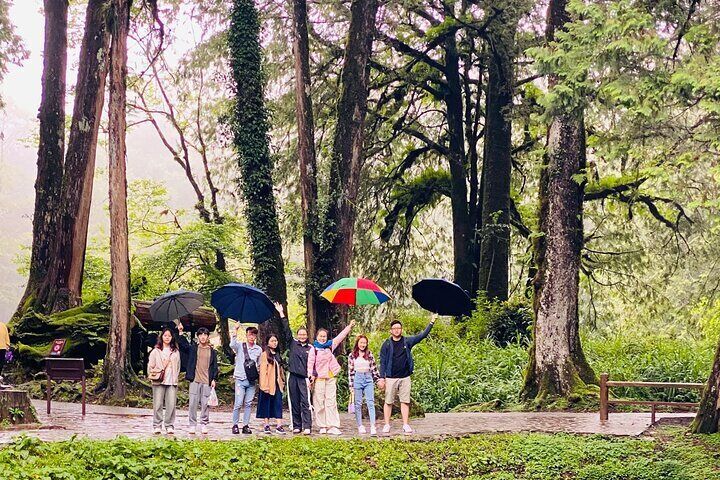 Mt. Fuji Flower Viewing Limited Gotemba Outlet tour