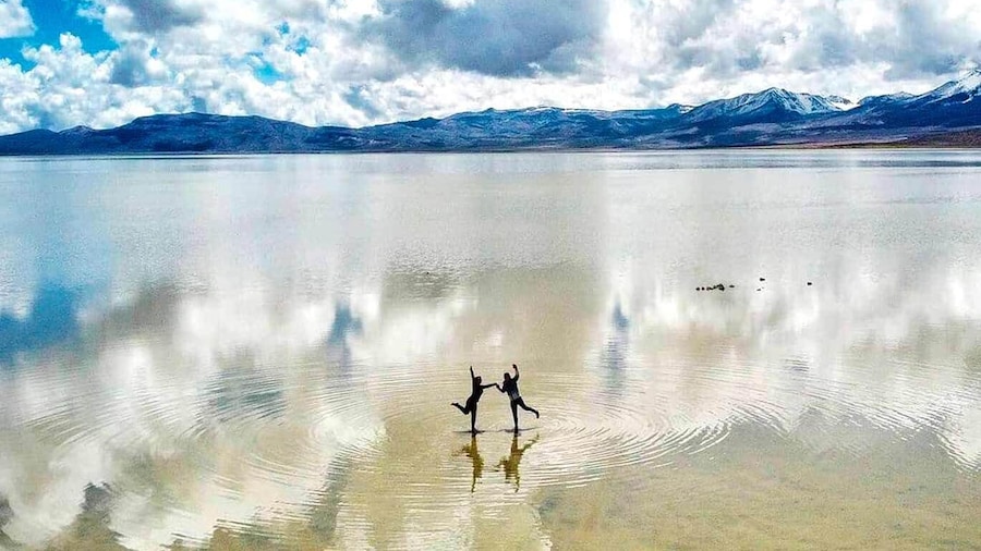 From Arequipa: 8-hour tour to the Salinas Lagoon and National Reserve