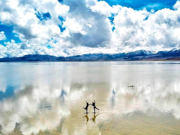 From Arequipa: 8-hour tour to the Salinas Lagoon and National Reserve