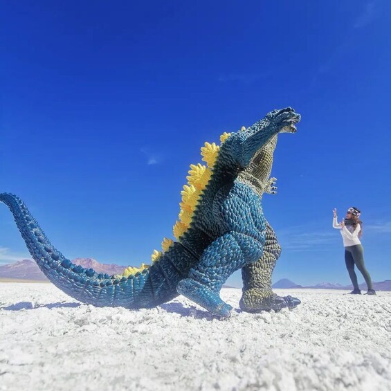 From Arequipa: 8-hour tour to the Salinas Lagoon and National Reserve