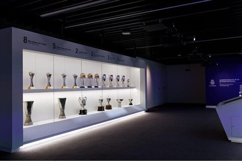 Madrid Santiago Bernabéu Stadium Private Tour