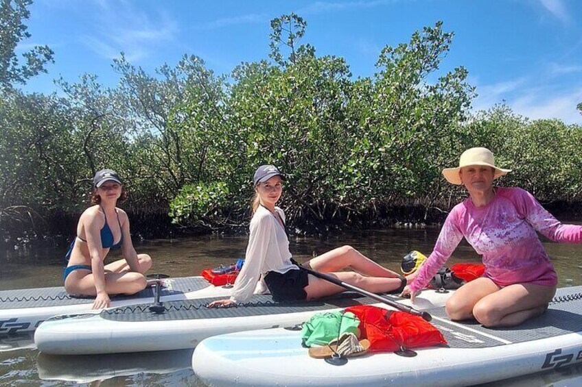 Mangrove Exploration Ecotour
