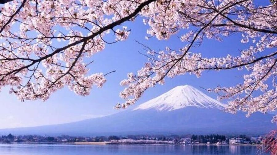One day tour to Mount Fuji's popular attractions