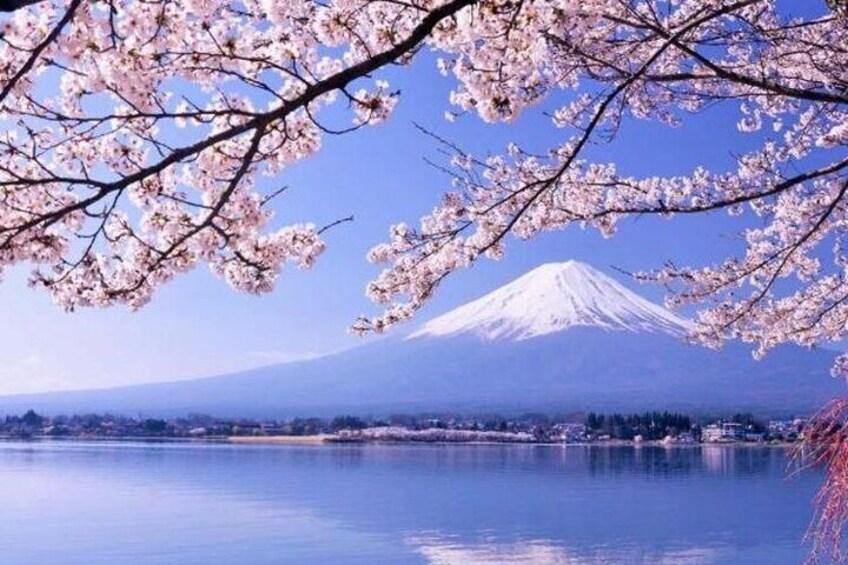 One day tour to Mount Fuji's popular attractions
