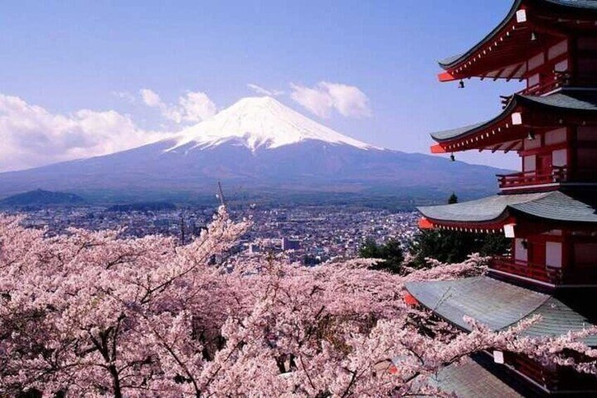 One day tour to Mount Fuji's popular attractions