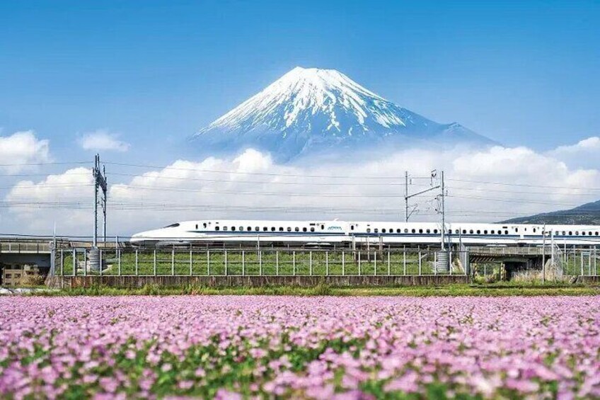 One day tour to Mount Fuji's popular attractions