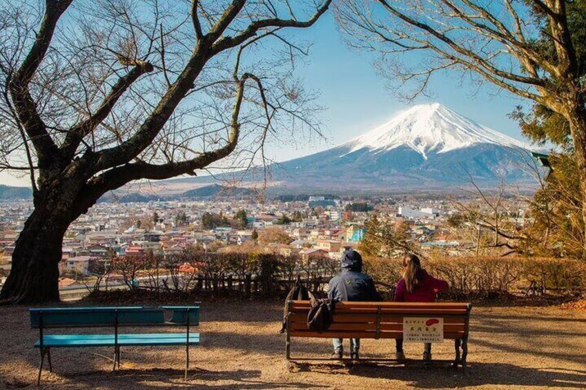 One day tour to Mount Fuji's popular attractions