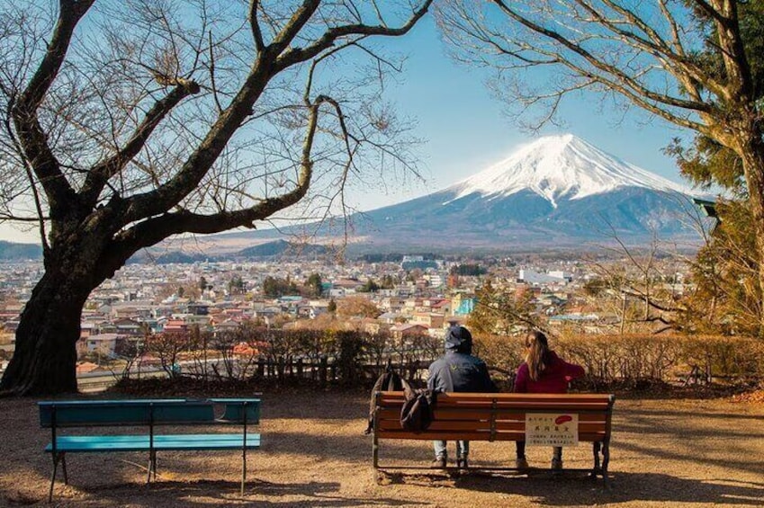 One day tour to Mount Fuji's popular attractions