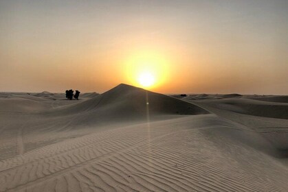 Dubai Sunrise Desert Tour