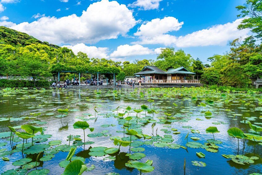 Seaside Kamakura, Enoshima, and Asakusa 1 Day Bus Tour