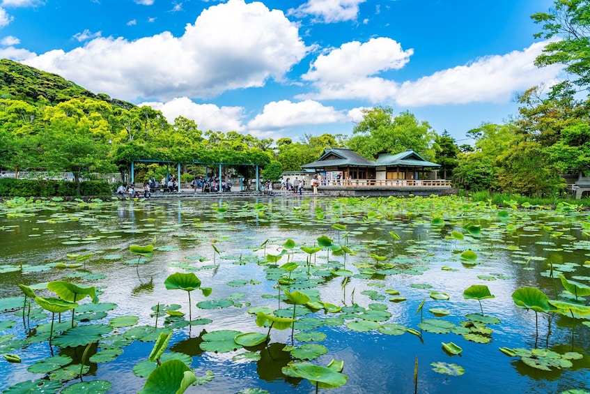 Seaside Kamakura, Enoshima, and Asakusa 1 Day Bus Tour