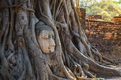 Ayutthaya Fullday history and world heritage sites
