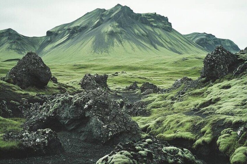 Moss and lava rocks