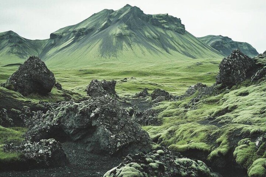 Moss and lava rocks