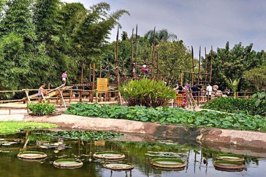 crocopark tour