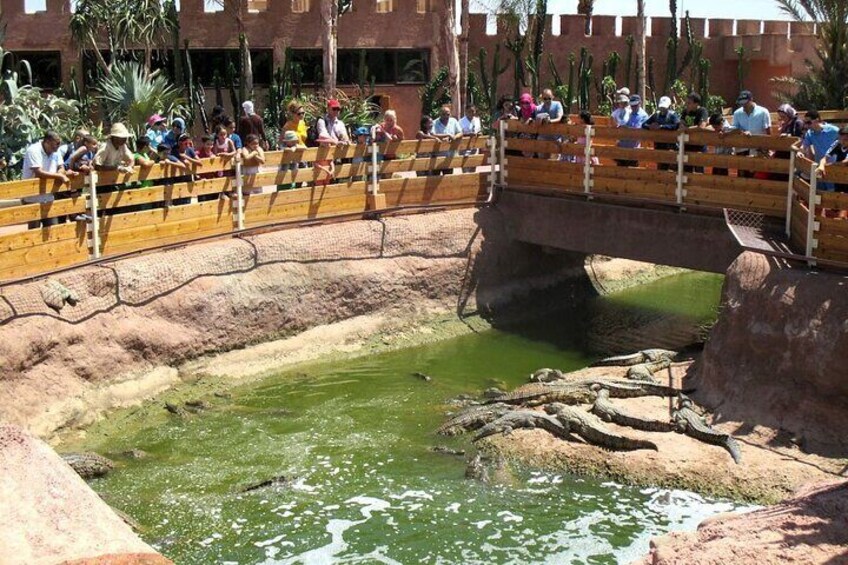 Morning Tour to Crocoparc & Tree-Climbing Goats