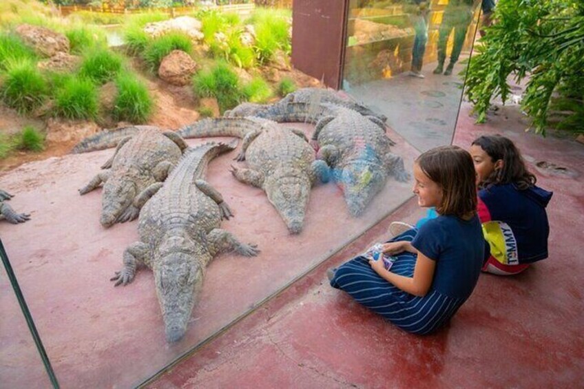 crocoparc