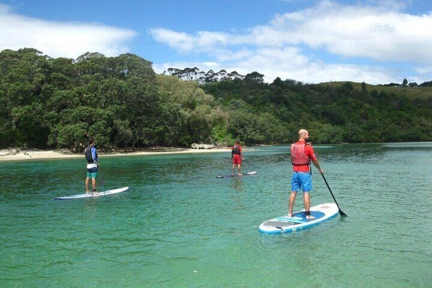 Coromandel Purangi River Tour by Kayak or SUP