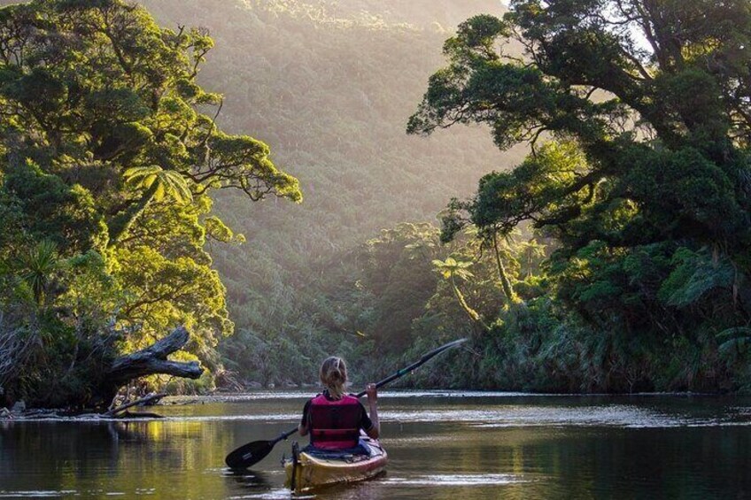 Coromandel Purangi River Tour by Kayak or SUP