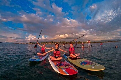 Coromandel Purangi River Tour by Kayak or SUP