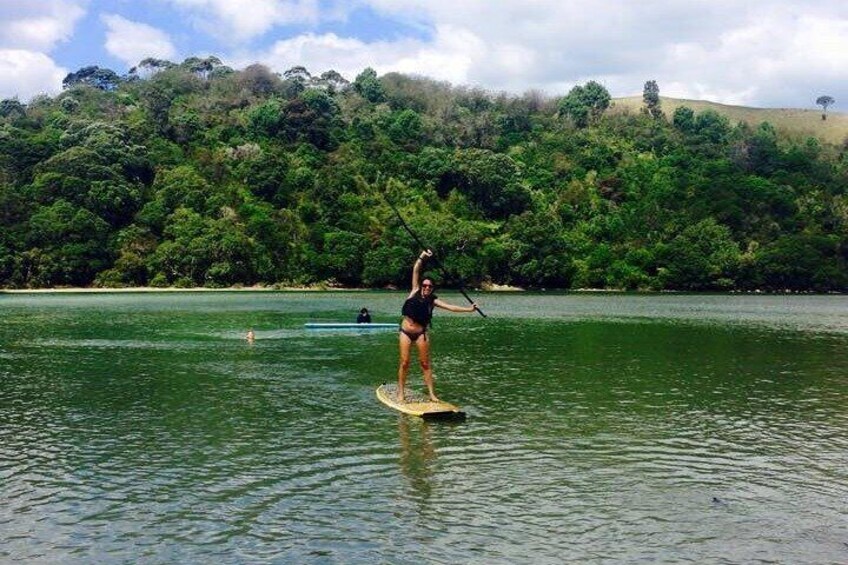 Coromandel Purangi River Tour by Kayak or SUP
