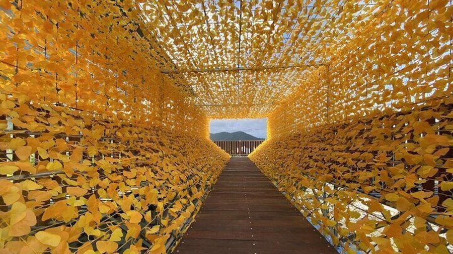 Flora Park