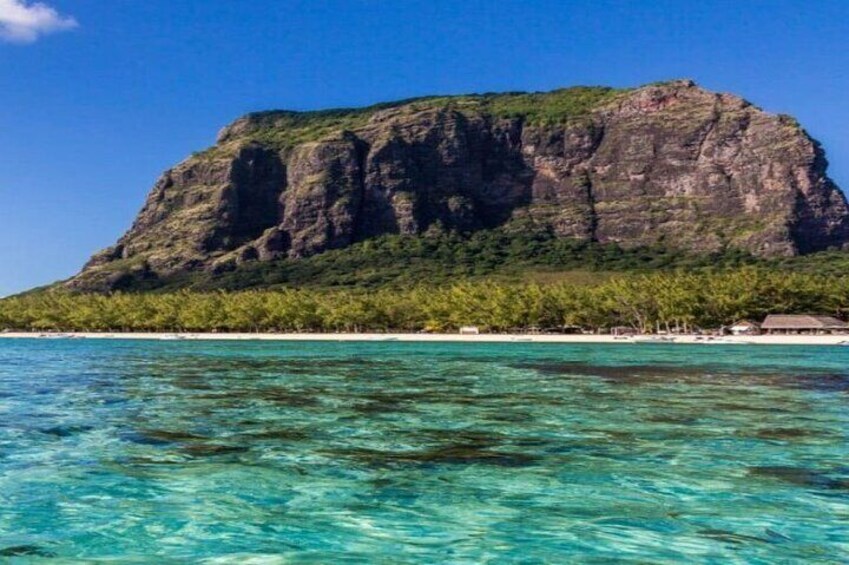 Private Ile aux Bénitiers Cruise Dolphin Snorkeling and Lobster