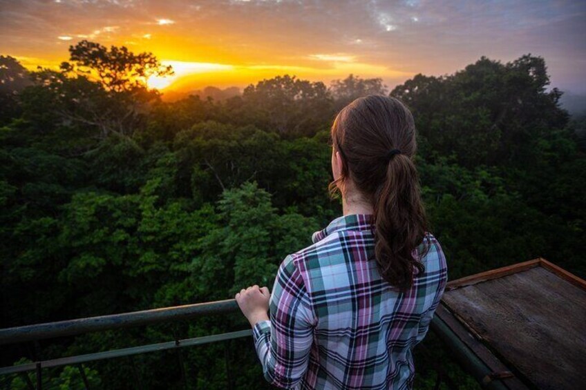 2 Day Rainforest Discovery at Iquitos Jungle