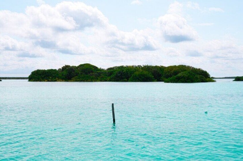 Bird Island