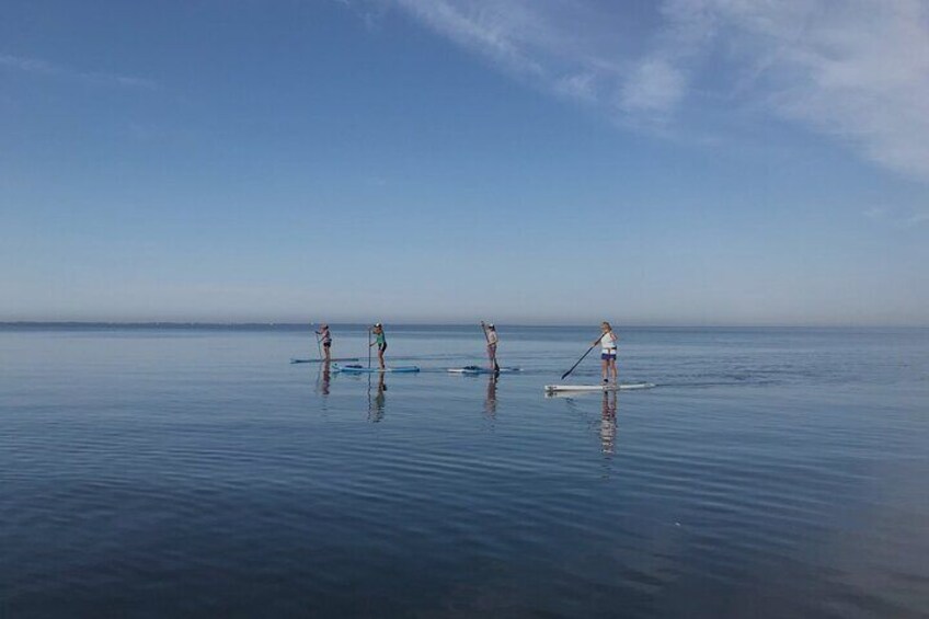 Guided SUP Safari & Catamaran Cruise Dia Island & Cretan Treats
